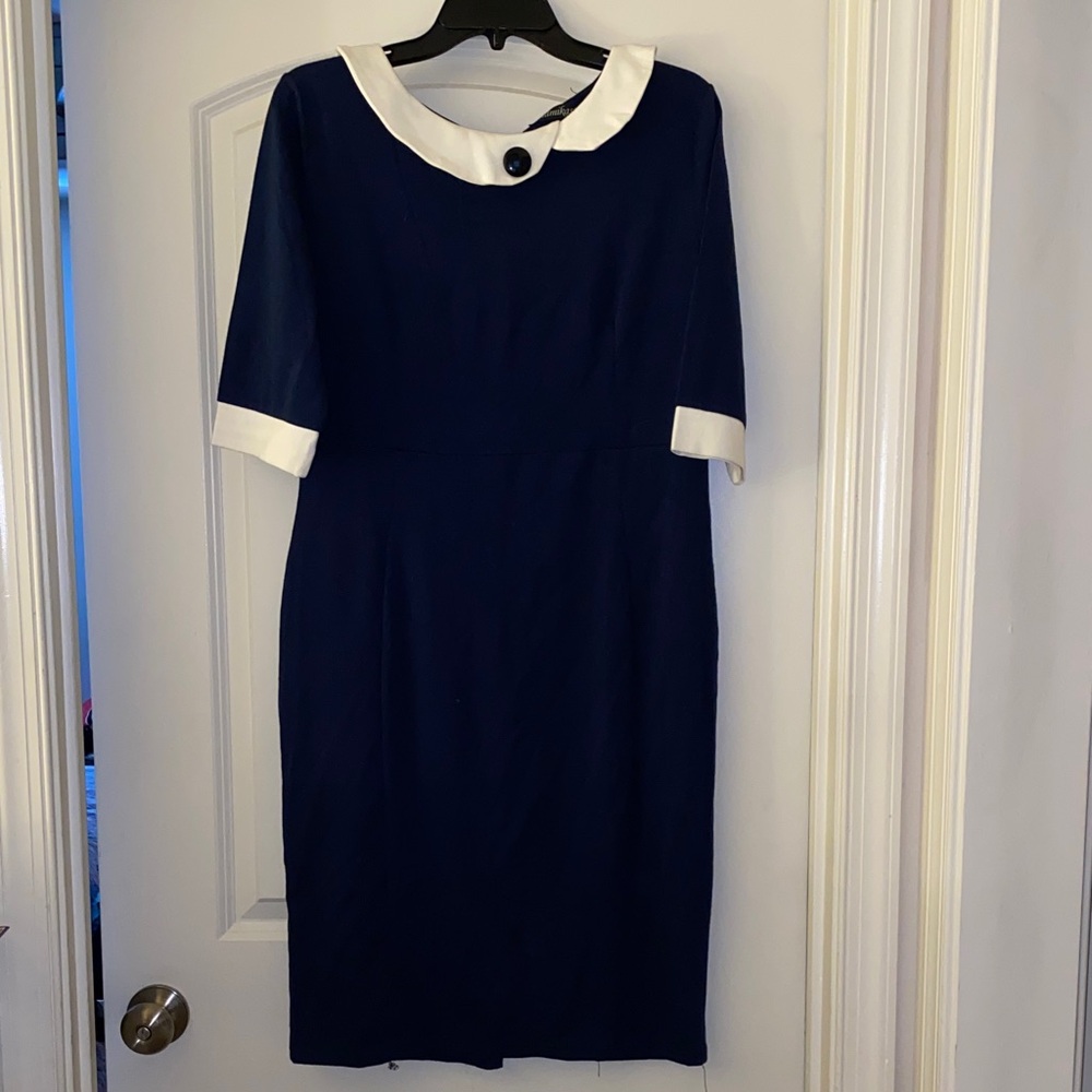 Amika Navy Dress with White Trim